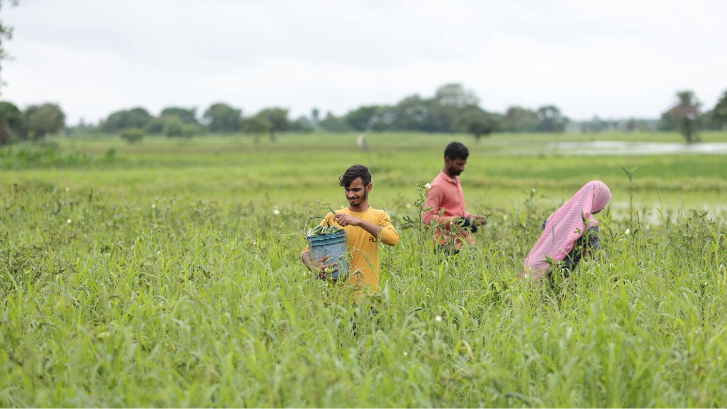 How ESAF Foundation Is Weaving Collective Power into Indian Agriculture
